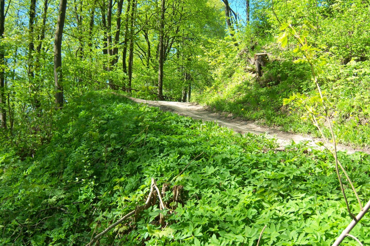 The Enigmatic Karmėlava Hillfort: A 14th-Century Fortification in Lithuania's