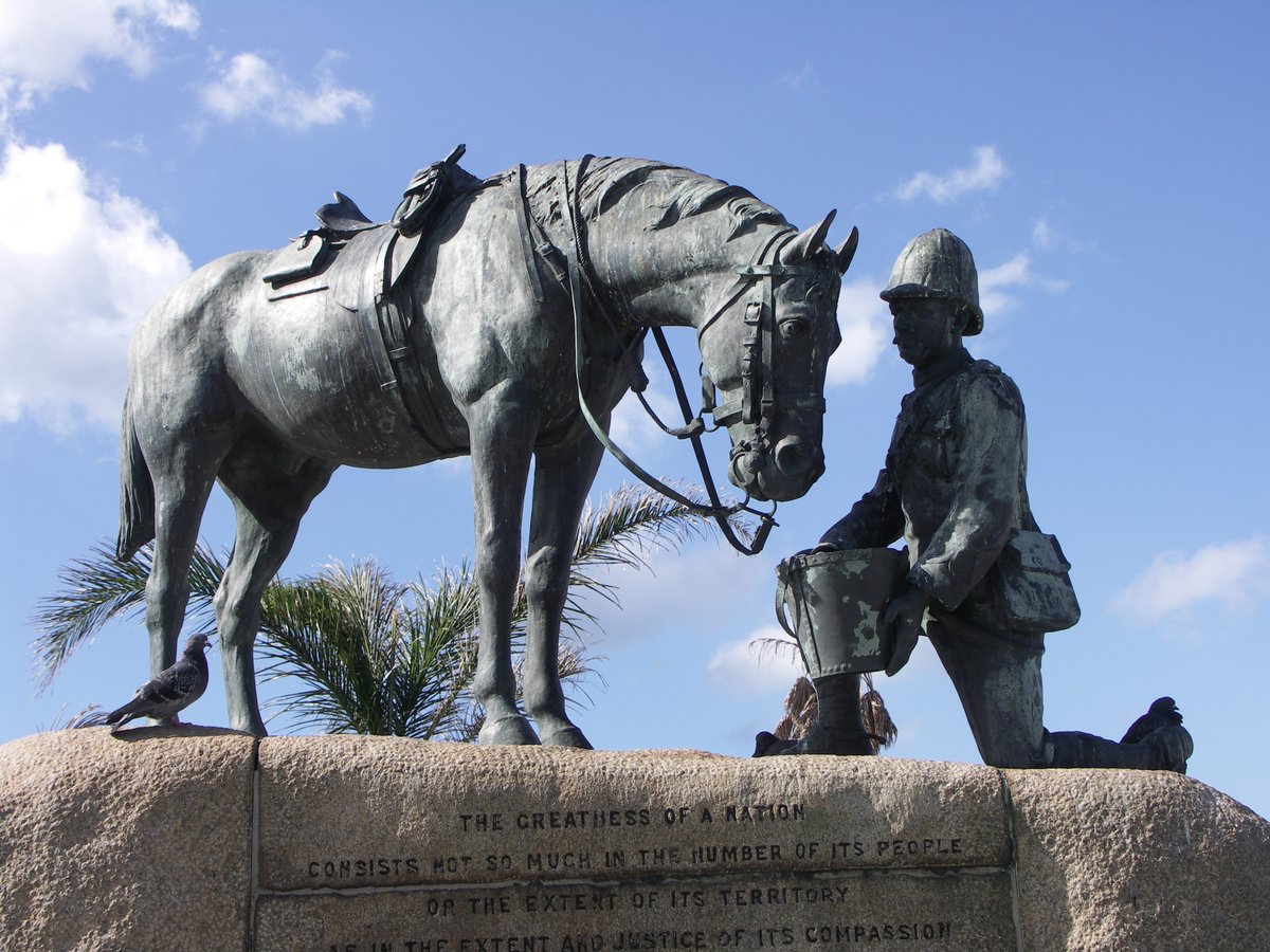 In Memory of the Valiant Steeds: A Tale from Gqeberha