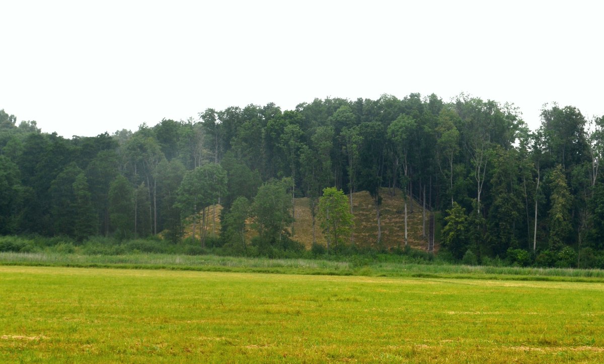 Šereika Hillfort: A 13th-century stronghold on the Nemuno Riverbank