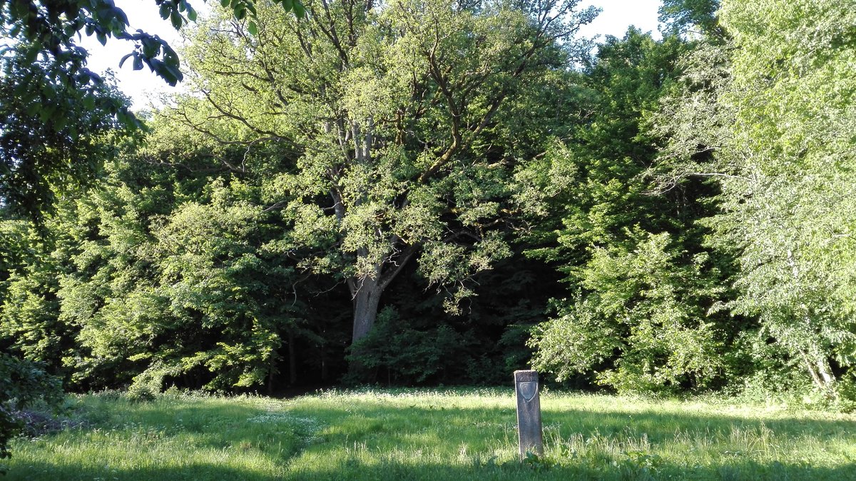 Veiviržėnai's Truncated Pyramid Hillfort