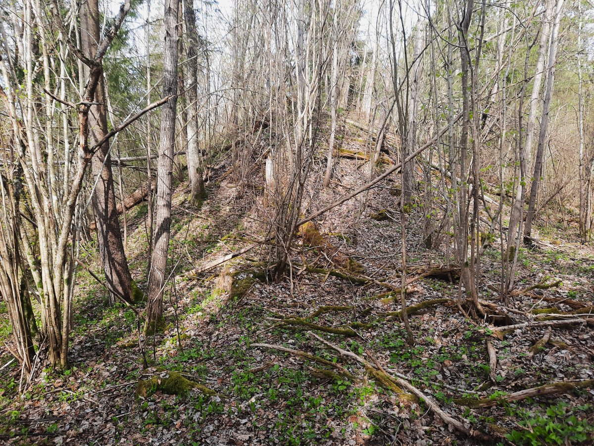 Pelekonys hillfort III