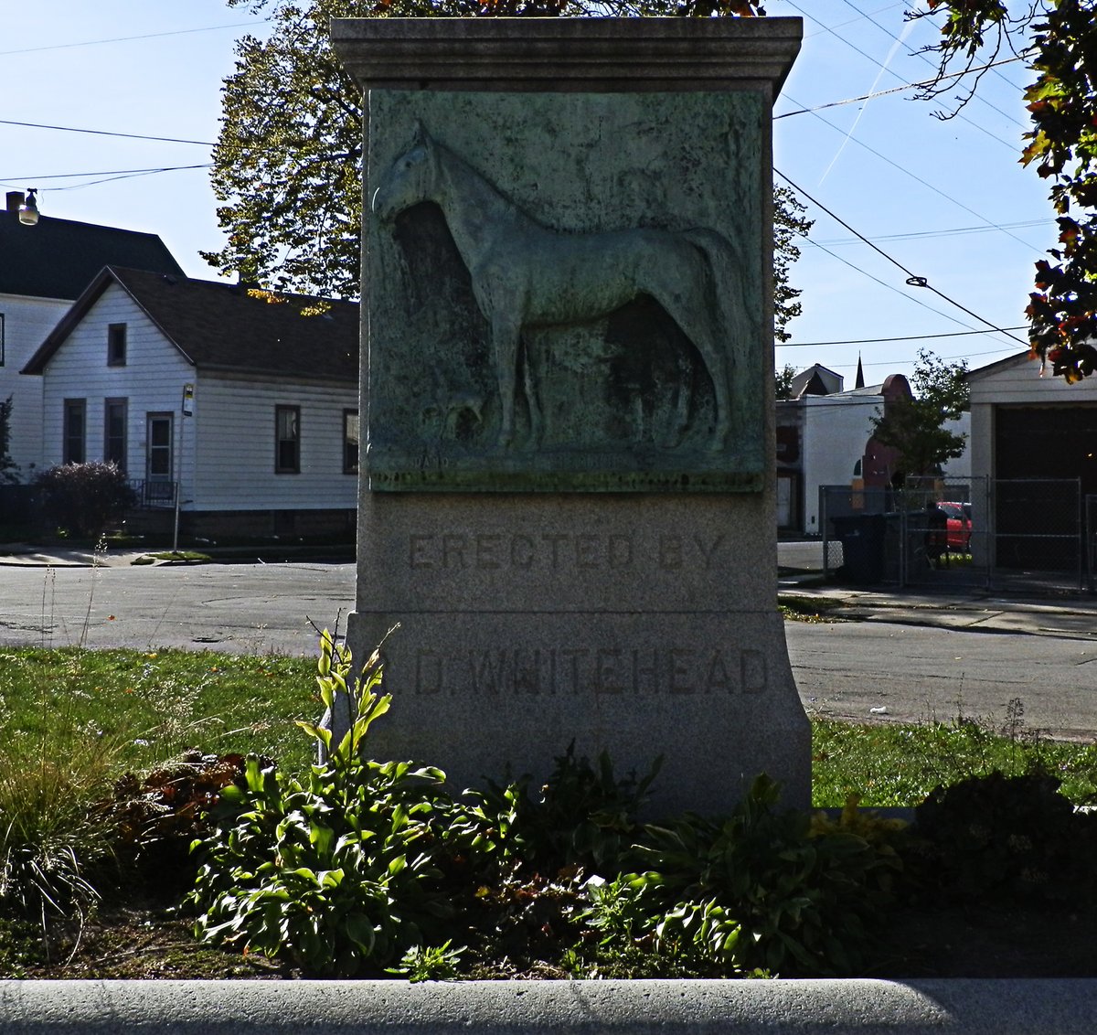 25 Years Chasing Cruelty: R.D. Whitehead, Milwaukee's Dogged Investigator