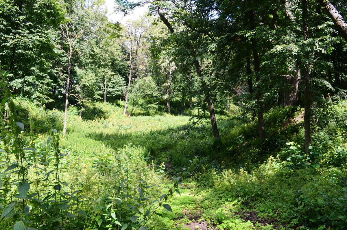 Lithuanian Time Capsule: Upyte Hillfort