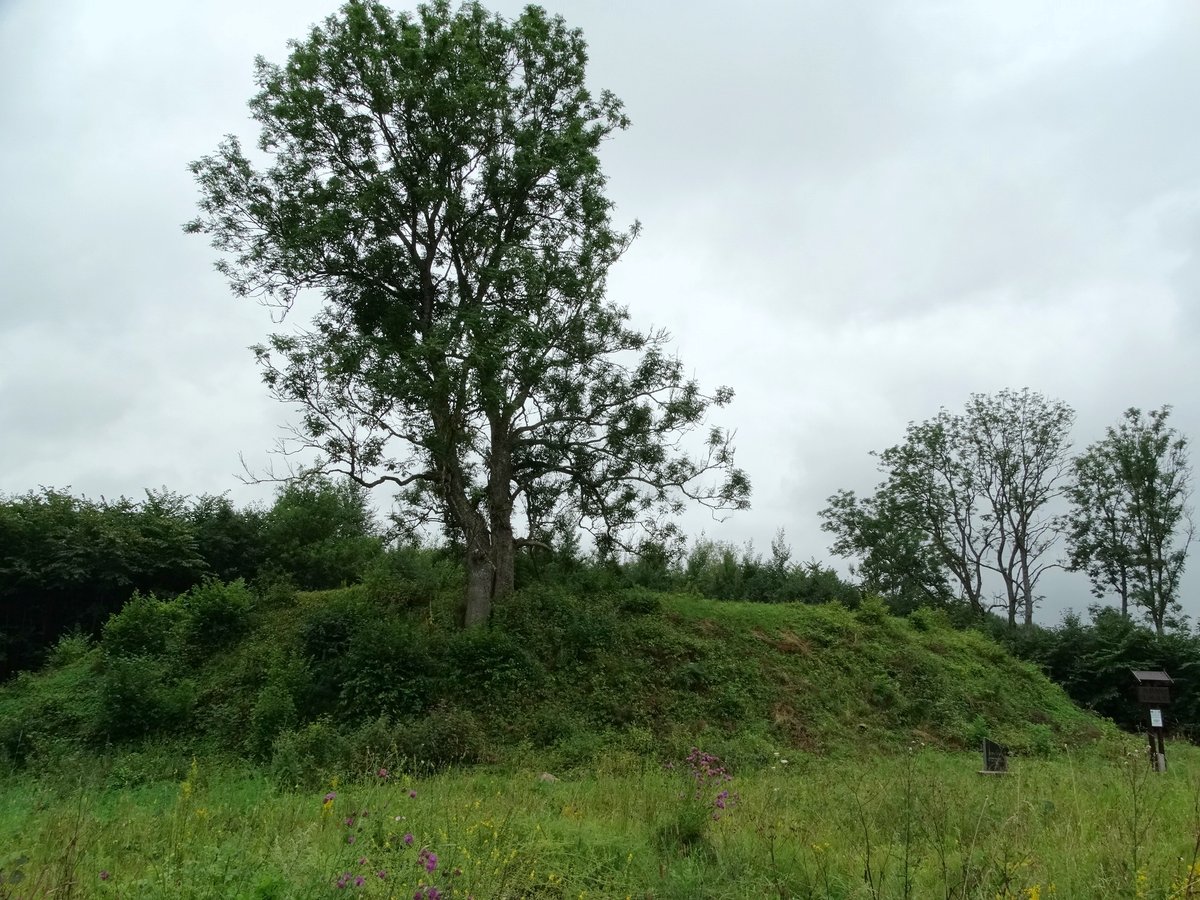 Lost Lithuanian Hillfort Unearthed