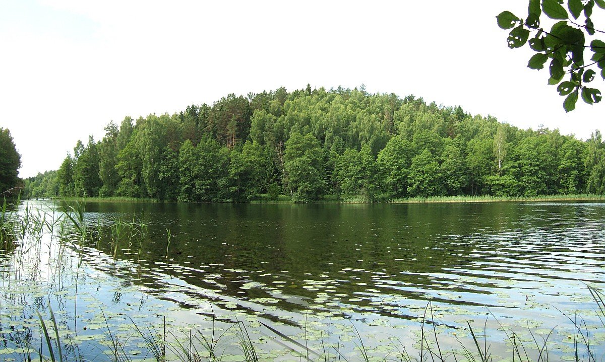 Kulionys hillfort