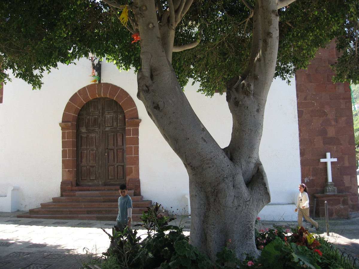 The Charming Madonna of the Canary Islands: The Enchanting Saga of the Canarian