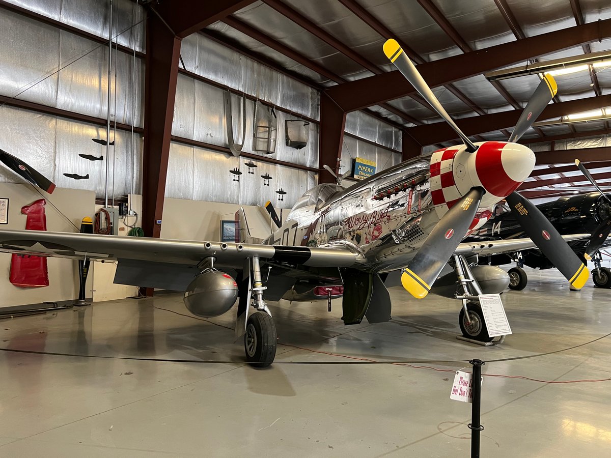 Worry Bird: Fighting Warbird, Lying on Illinois Ground for Half a Century