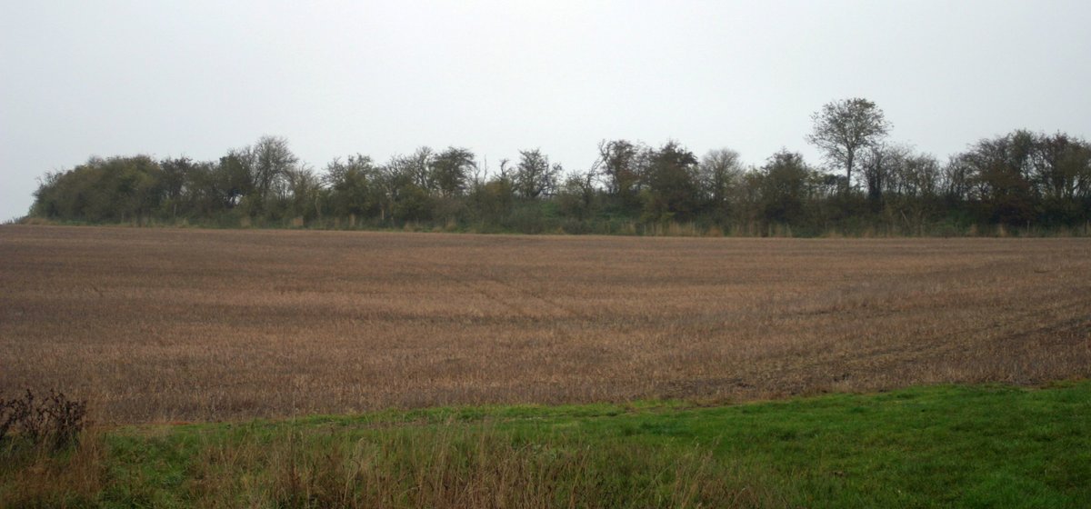 Hill fort with disputed battle history: Arbury Banks in Hertfordshire