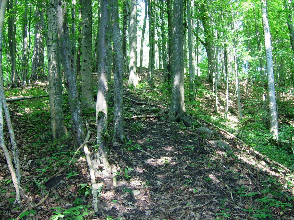 Ancient Dapkiškė Hillfort Overlooking the Neman River