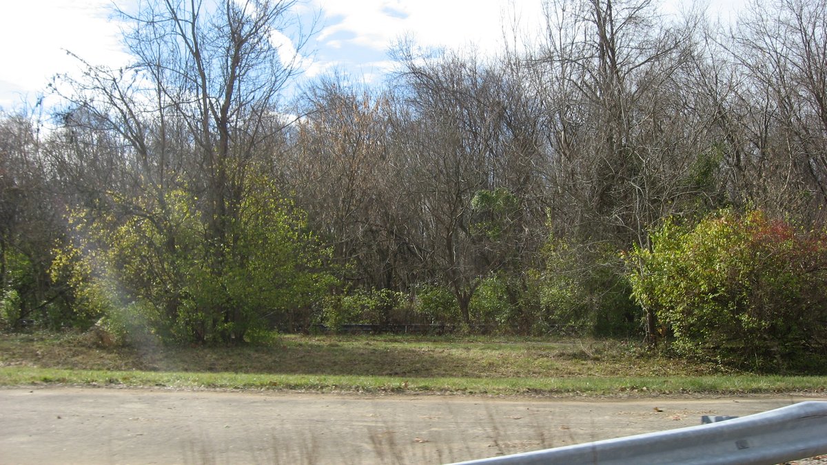 The Decaying Dolce Vita of the Ferris Site