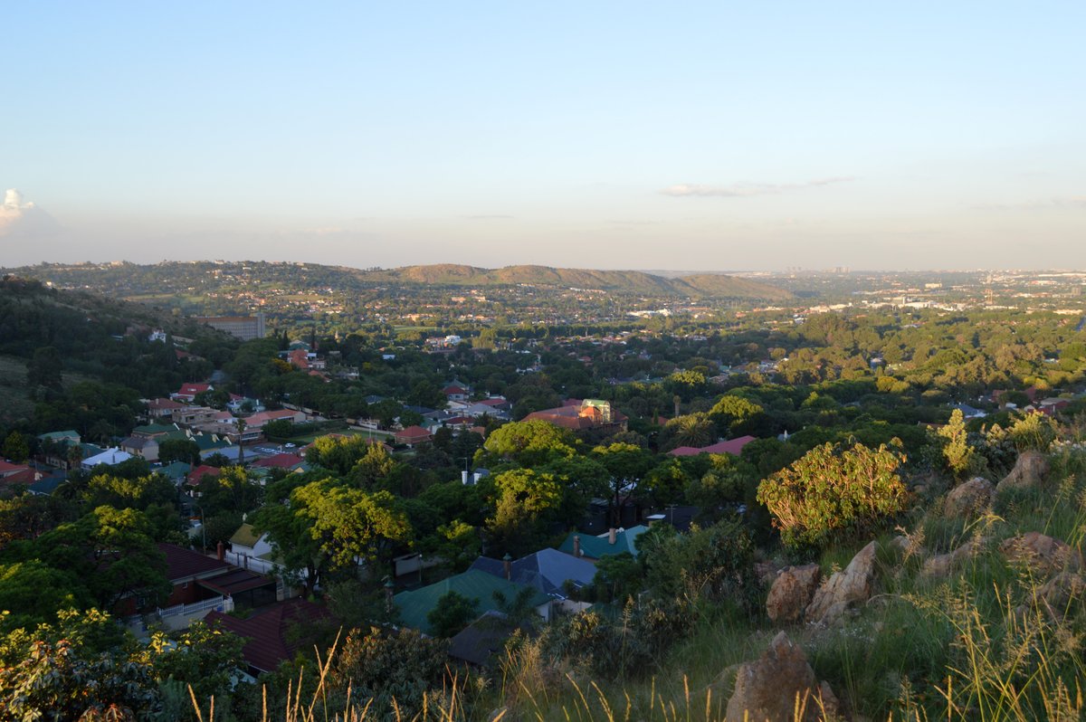 A Dreamer's Embrace: The Whimsical Celtic Cross of Kensington Hill, Johannesburg