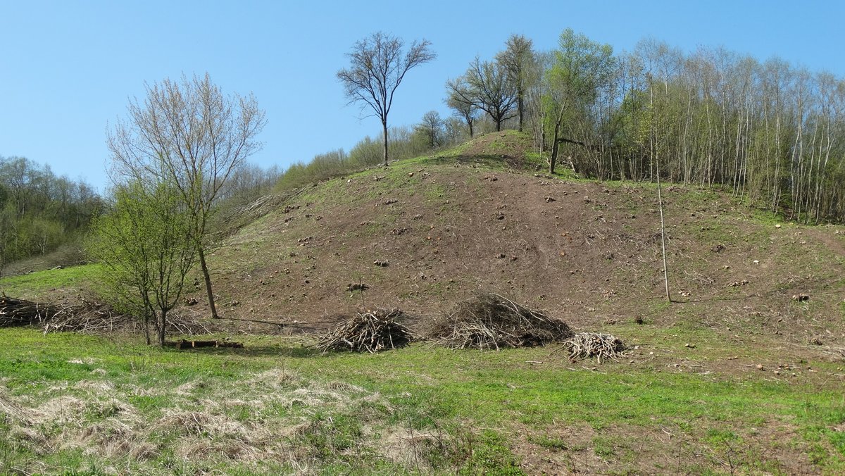 Treasure-filled Mounds: Budeliai Hillfort