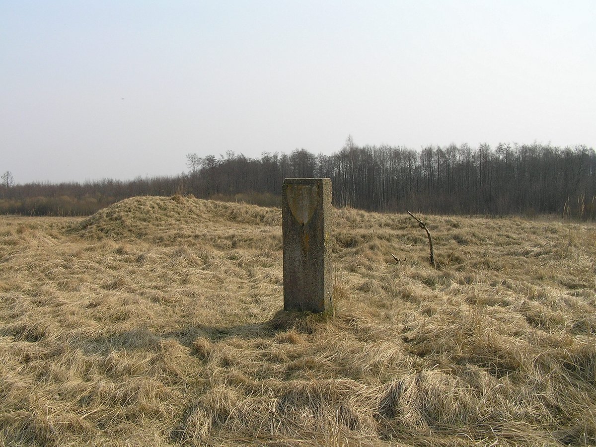 The 1st millennium BC mystery: Archaeological Hillfort Lokinė