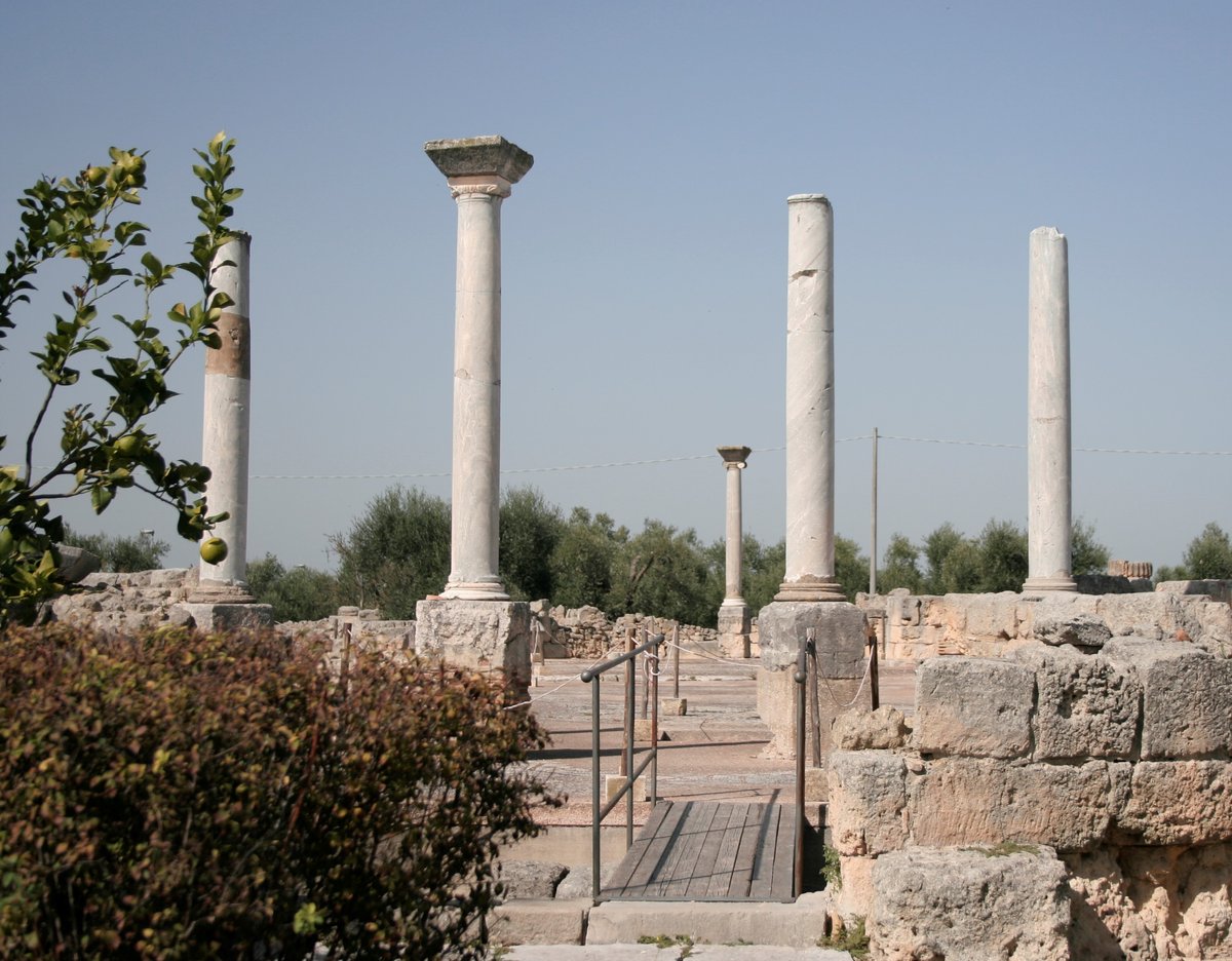 Minerva's temple beneath San Leucio Church: Unearthing an Etruscan relic in