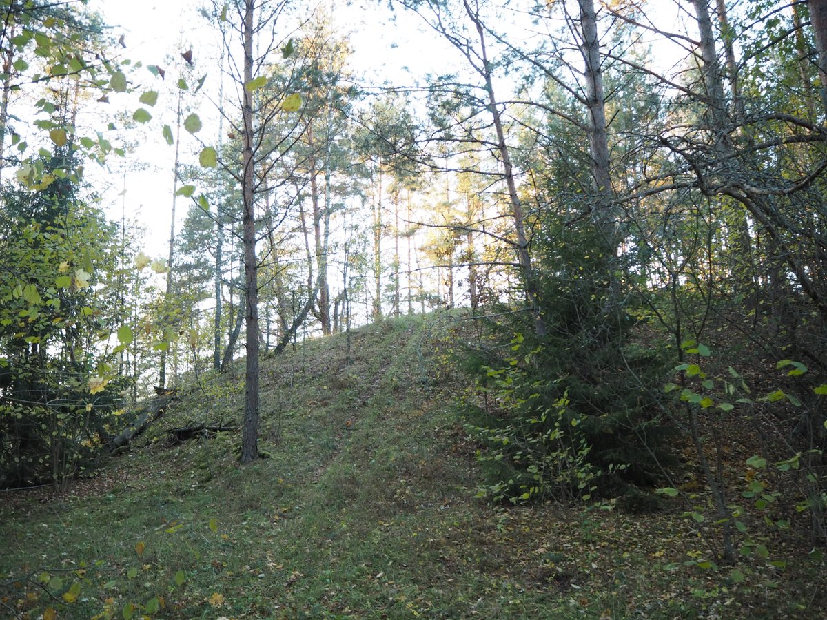 Iron Age Settlement Found Under Bogutiškė Hillfort