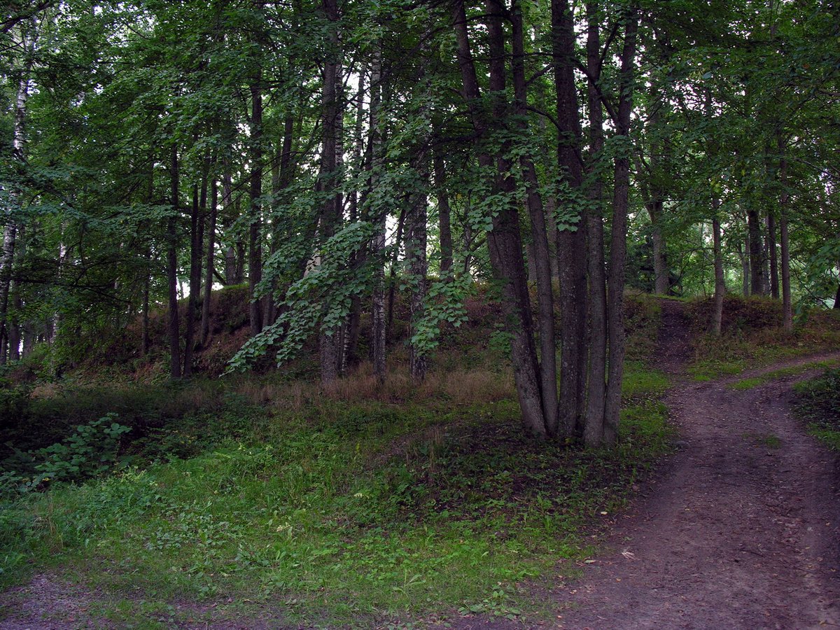 The hills marked by war - the half-buried secrets of Lithuania