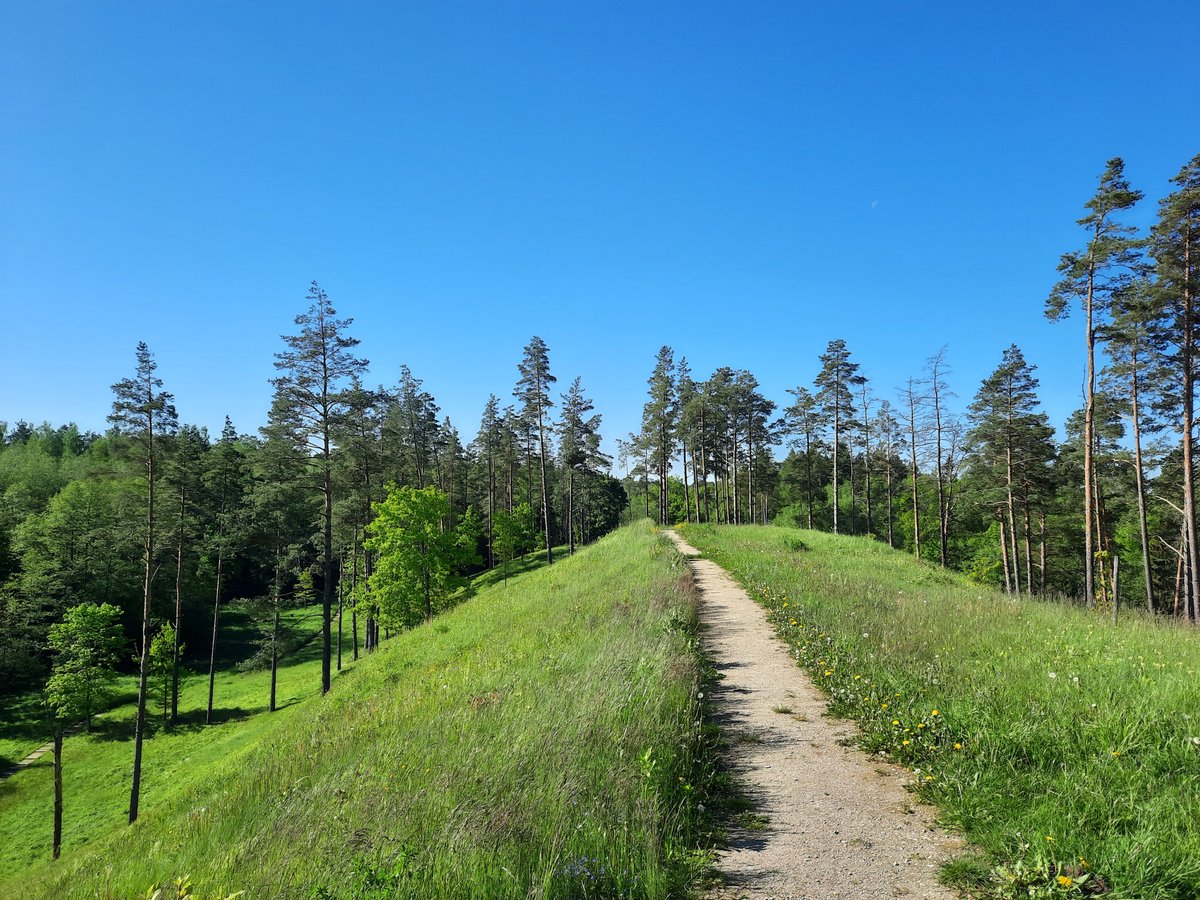 The Enigmatic Ancestry of Kačėniškė Hillfort: A Wooden Maze