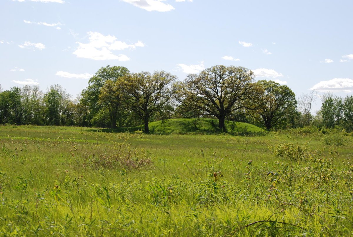 Abnormalities Buried in Fulton County, Illinois