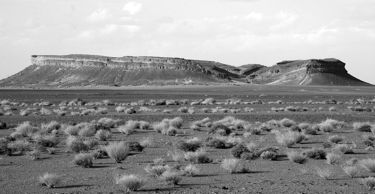 The Enchanted Horseshoe: Gara Medouar of Morocco