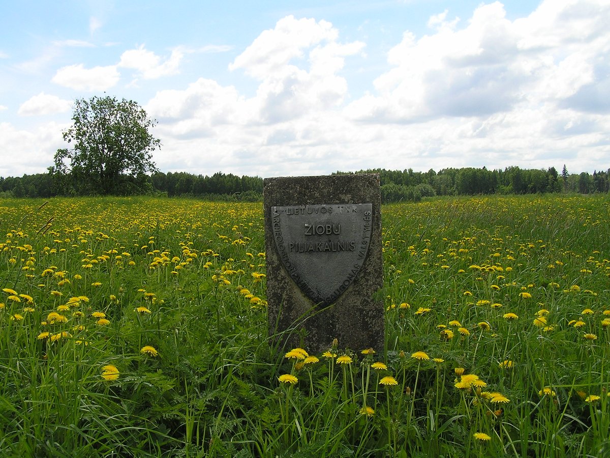 A forest hillfort abandoned in the 19th century