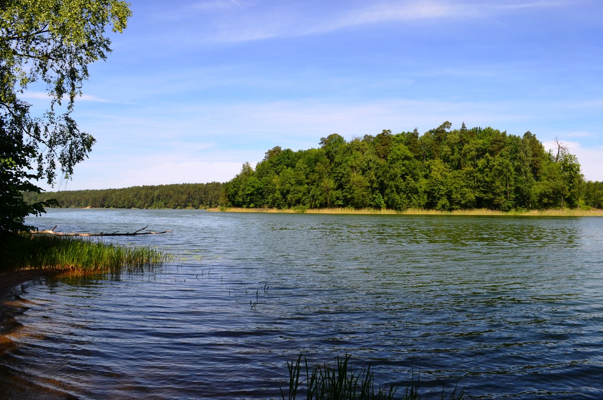 Ancient Oval Hillfort Pre-dates Asveja Lake