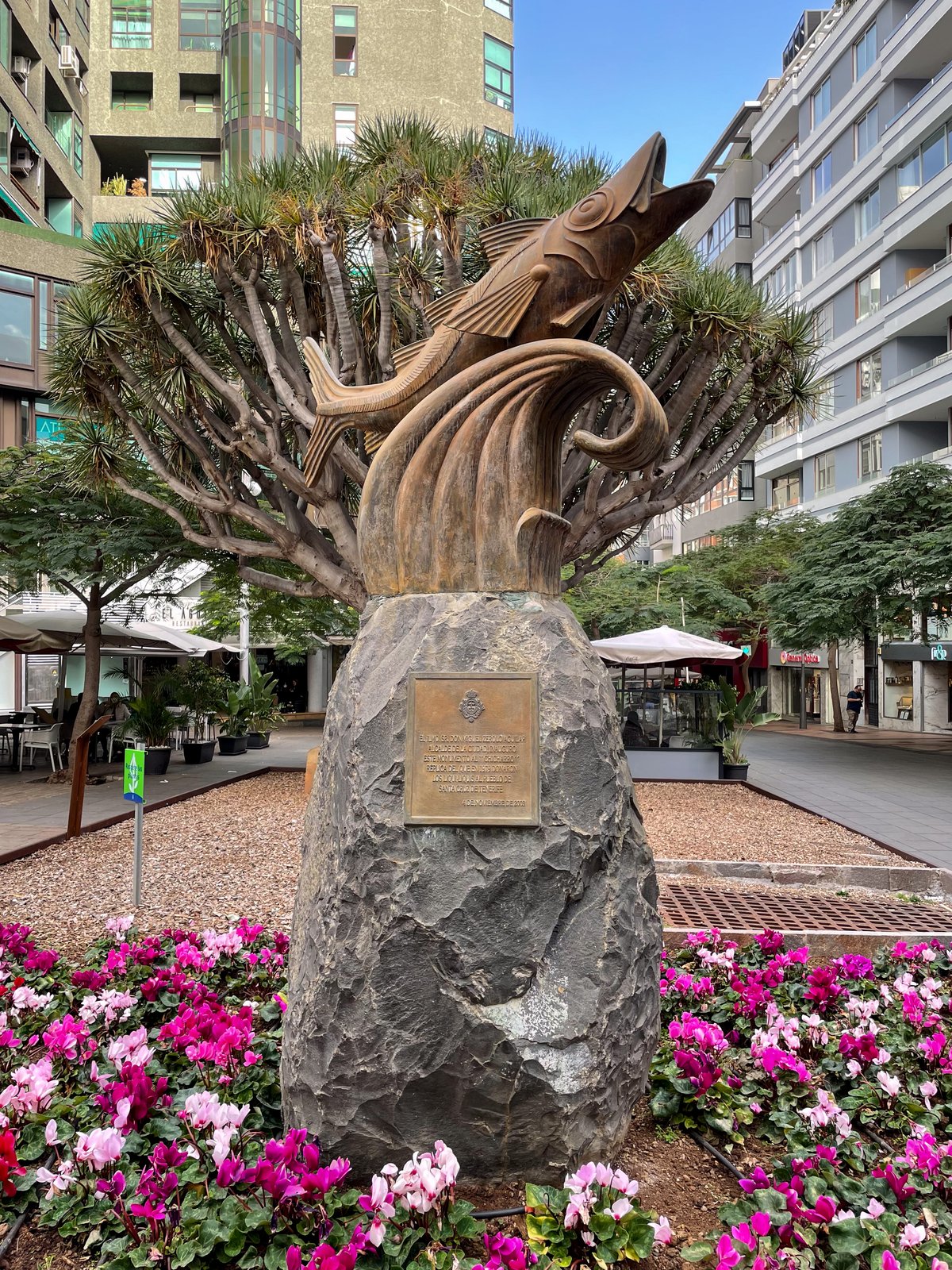 The Charming Leaping Bronze Mackerel of Santa Cruz, the Enchanting Gem of