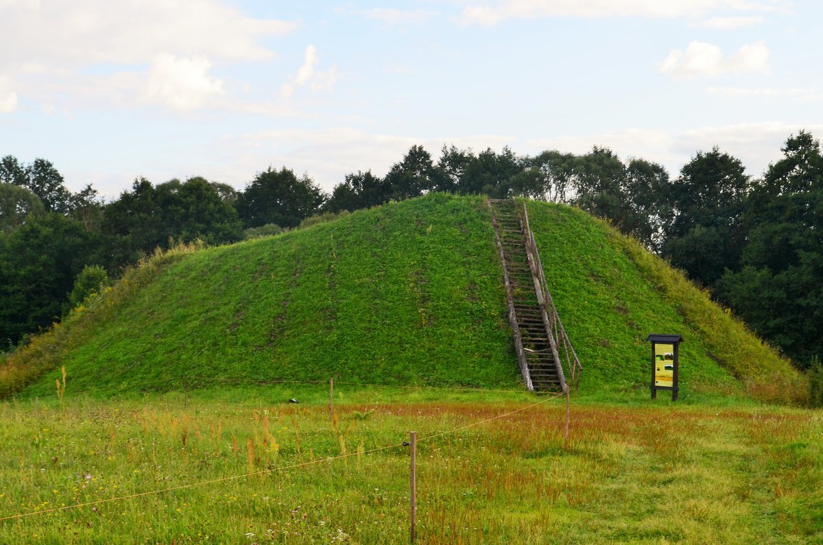 The iron age and medieval fort under the trees