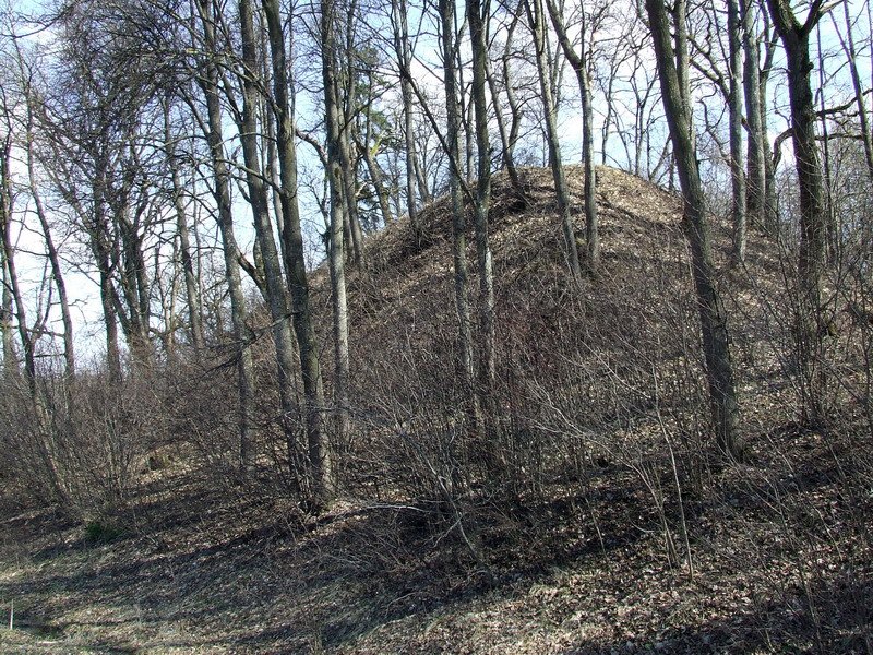 The Iron Age Mystery Unraveled: Marvelė Hillfort in Kaunas