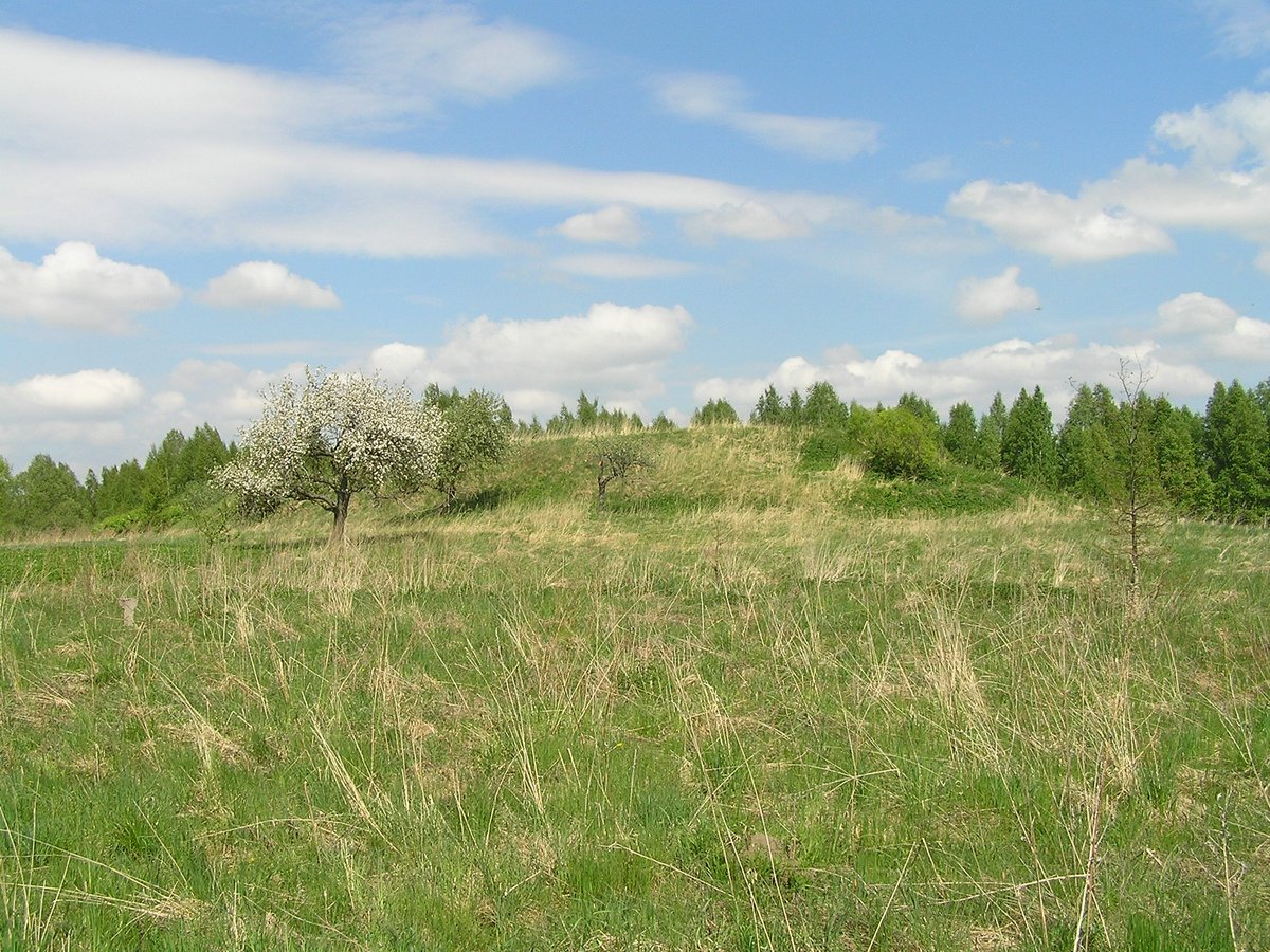 Levaniškiai hillfort: A relic of the Iron Age in Anykščiai