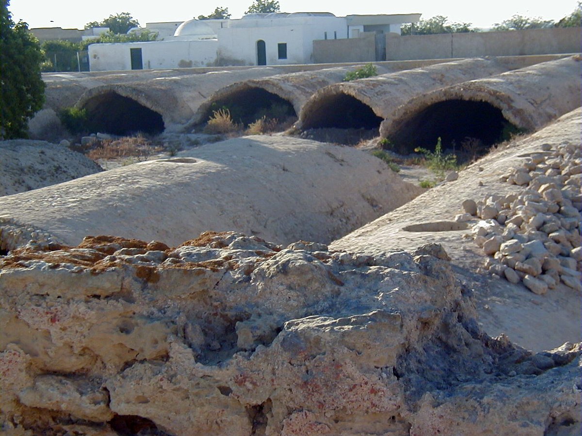 The Enchanted Hollows Beneath the Golden Streets of Carthage