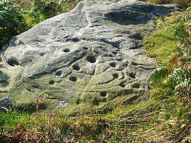 Mysteries of the Tree of Life Rock