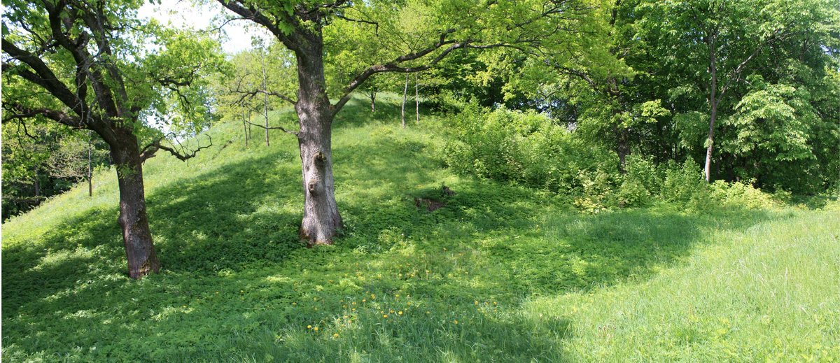 Ancient hill fort of Kartuvių kalnu near Jaučai and its hidden past
