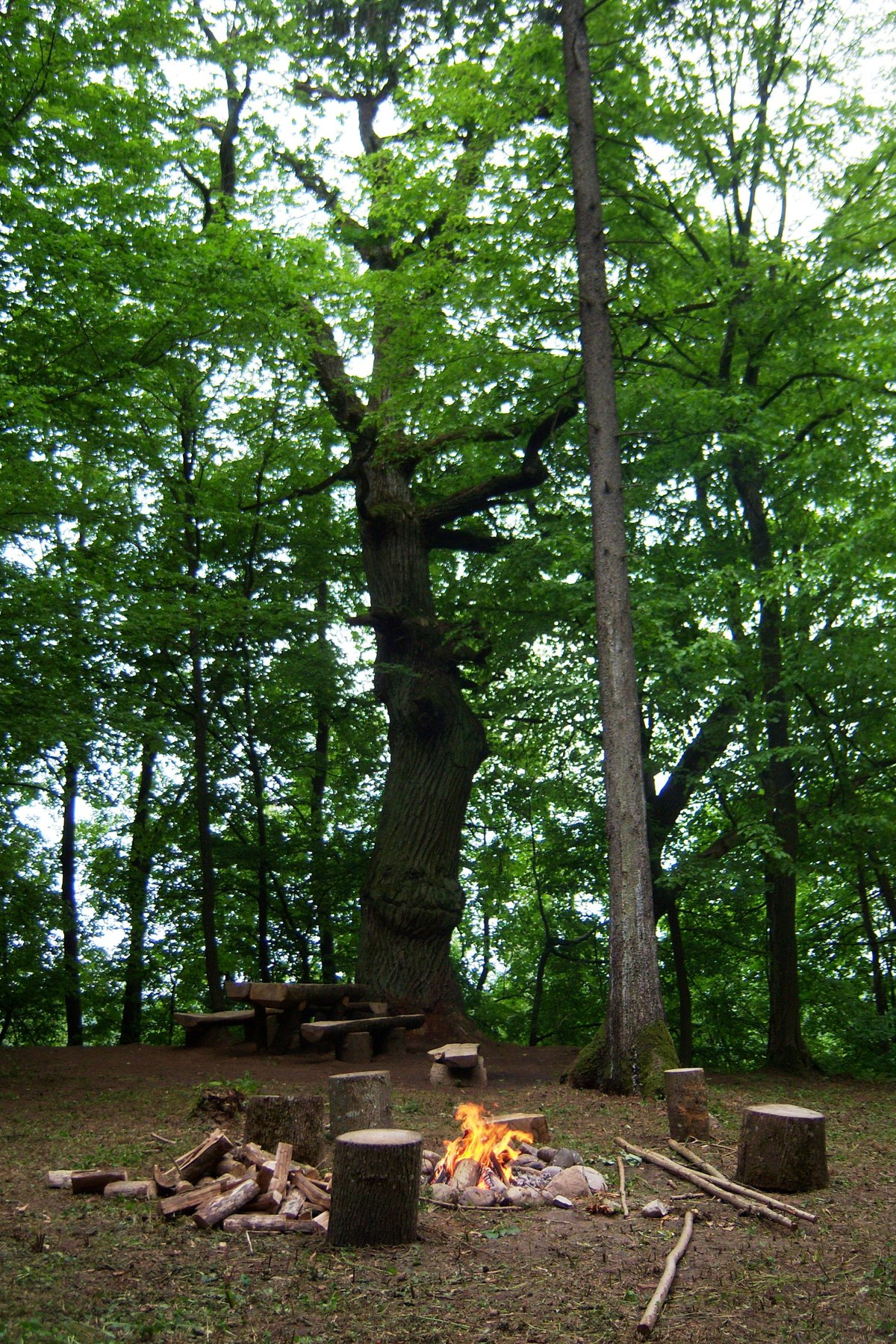 The Fortified Triangle of Mažieji Žinėnai