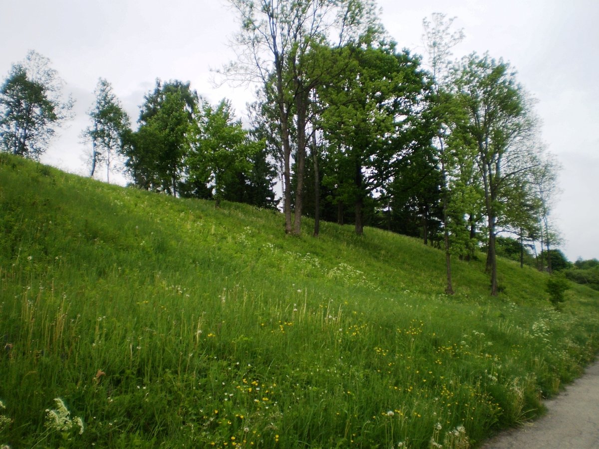 The hillfort with the wide-mouthed ditch