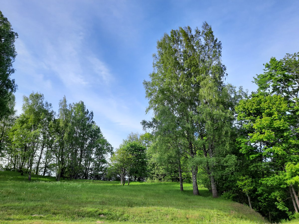 A Castle Hidden in the Baltic Countryside