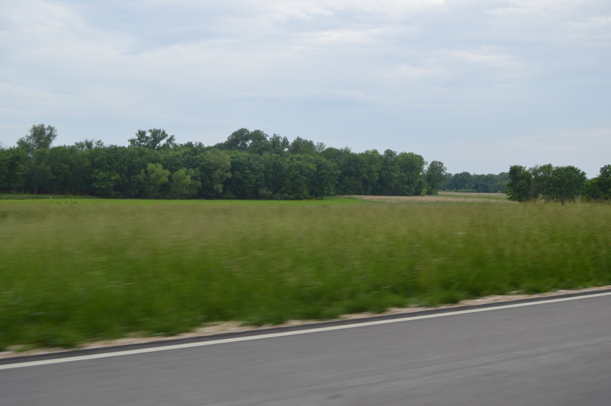 The Hill of Foolish Ancestors: An Illinois Relic