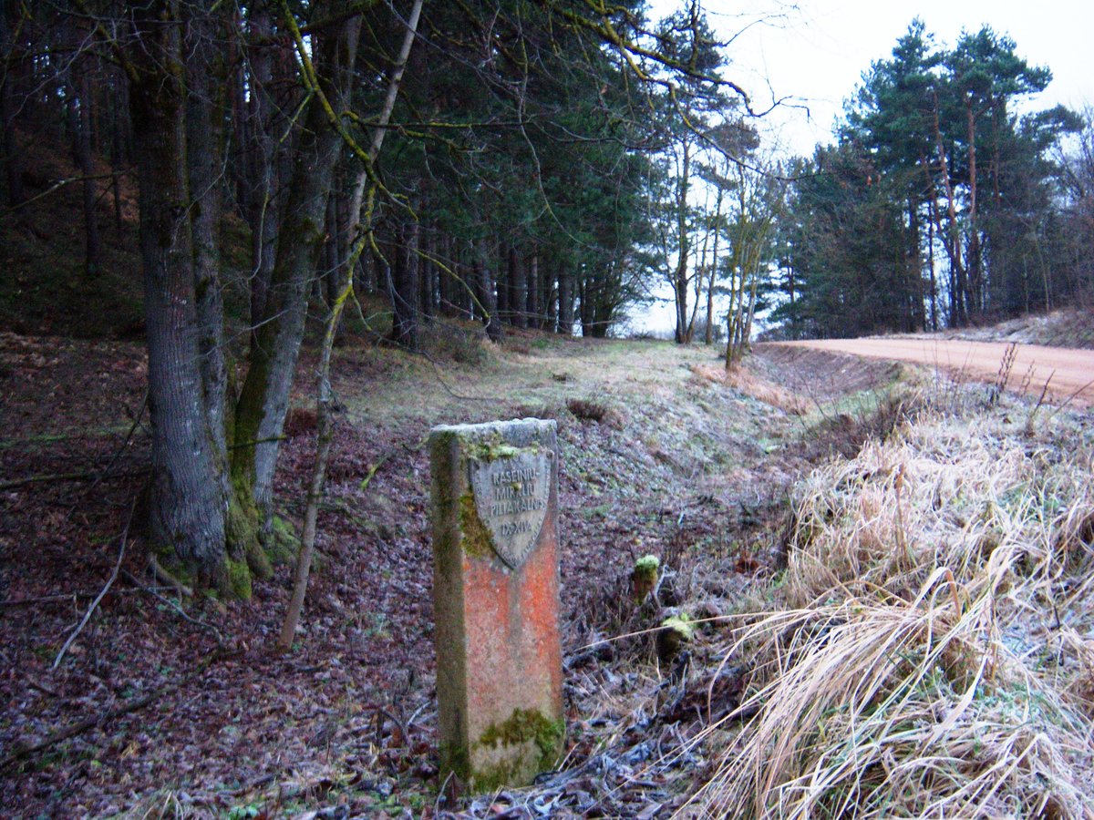 The enigmatic hillfort camouflaged in a Lithuanian forest